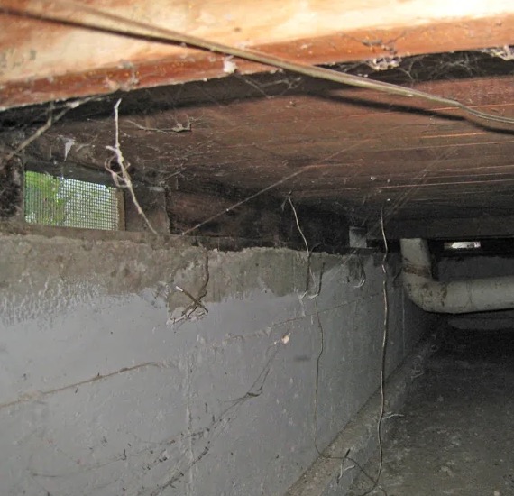 Crawl Space Water Removal in McCall, ID