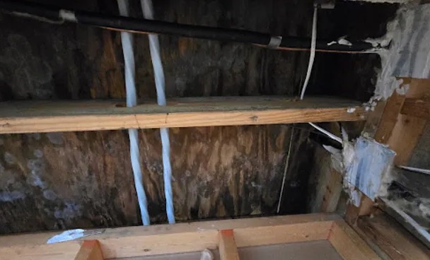 Window Leak Water Removal in McDermott, ID