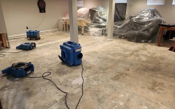 Structural Repair after Water Damage in Moss, ID