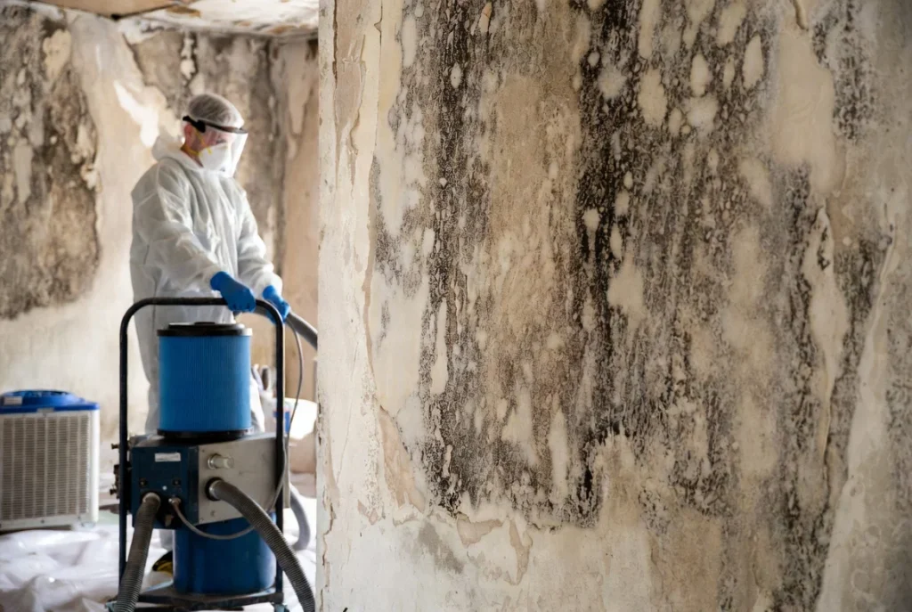 Mold Remediation & Decontamination in Caldwell, ID
