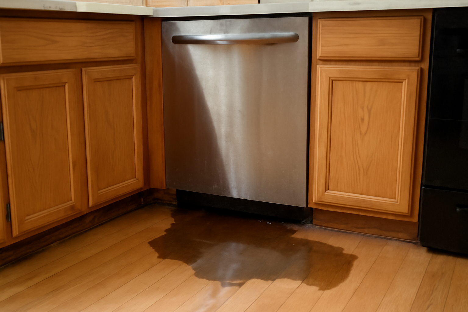 Dishwasher Leak Water Removal in Parma, ID